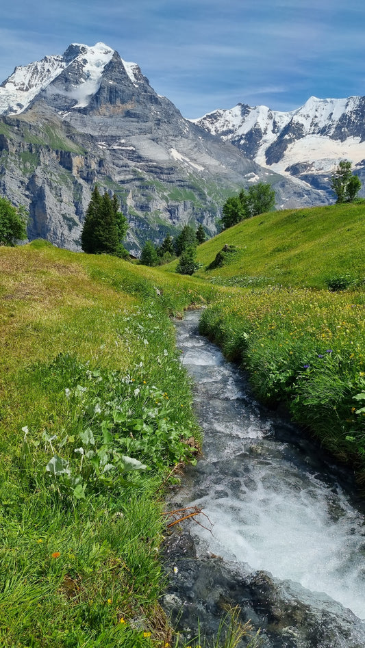 Swiss Alps Creek