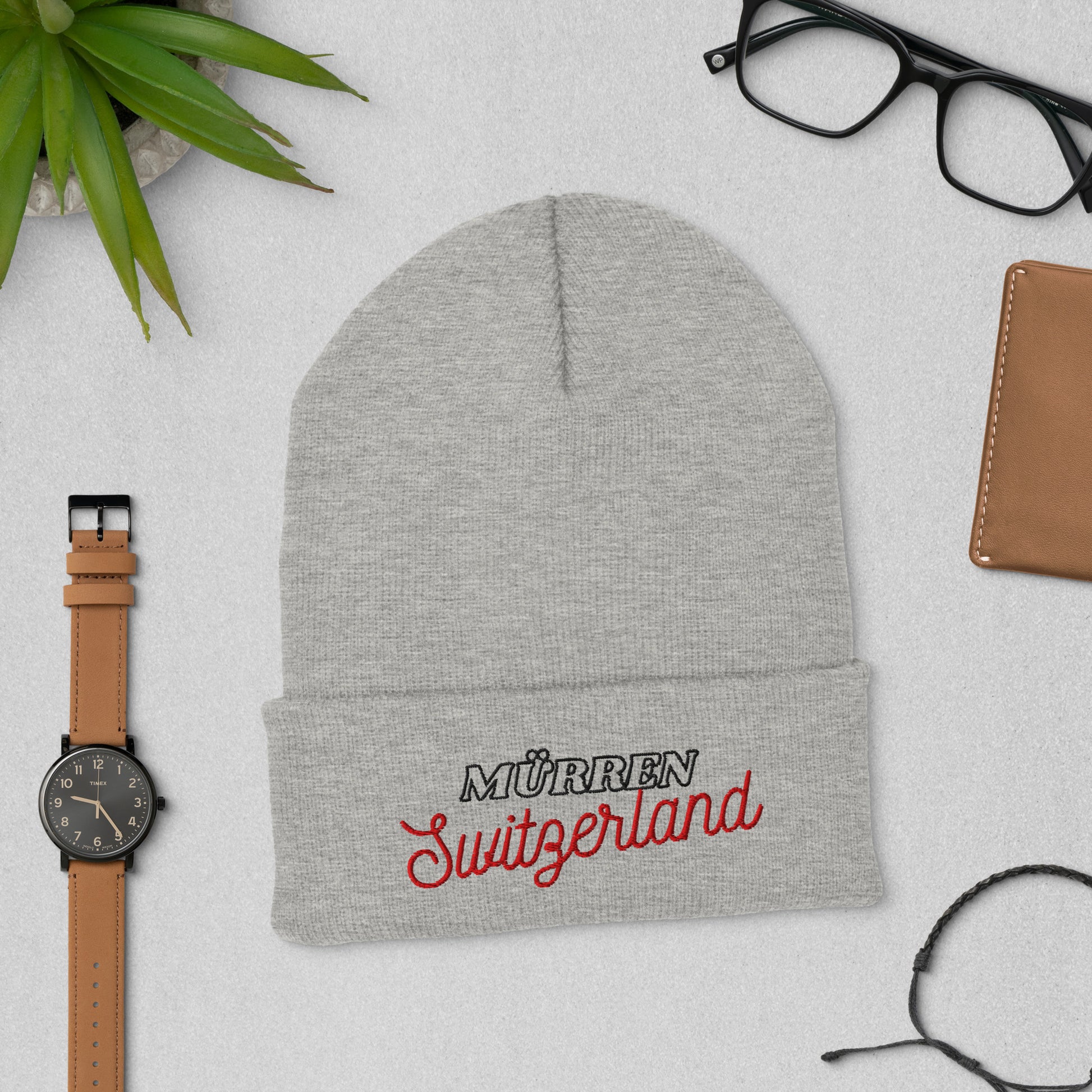 Cozy cuffed beanie perfect for winter adventures in the Swiss Alps